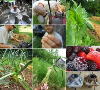 Flywheel Garlic Bearings Image